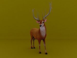American deer realistic model 3D Model