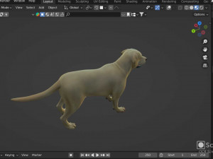 Realistic Golden Retriever Dog Model Modello 3D