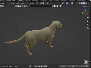 Realistic Golden Retriever Dog Model 3D Model