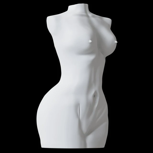 Figurine d'un corps f&eacute;minin Modèle 3D .c4d .max .obj .3ds .fbx .stl .blend 