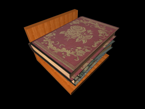 Books on the shelf 3D Model