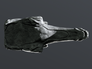 Waterspout Gargoyle Stonedragon Modelo 3D