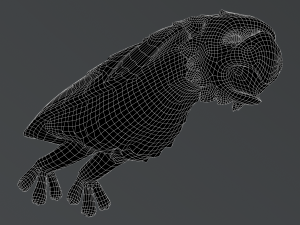 Waterspout Gargoyle Owl Parrot 3D Модель