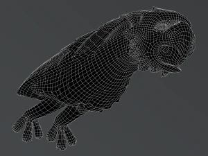 Waterspout Gargoyle Owl Parrot 3D Model