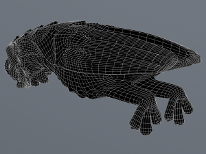 Waterspout Gargoyle Owl Parrot 3D Модель