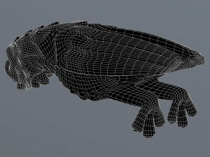 Waterspout Gargoyle Owl Parrot 3D Model