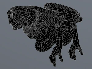 Waterspout Gargoyle Harpy 3D Model