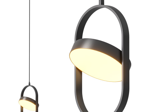 Pendant LED Light Lussole Lgo Aberdeen LSP-8223 3D Model