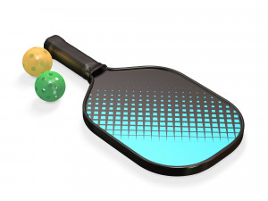 Pickleball set 3D 모델