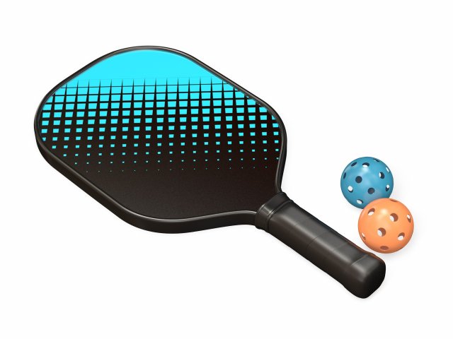 Pickleball set 3D 모델 .c4d .max .obj .3ds .fbx .stl .blend 