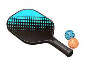 Pickleball set 3D Model