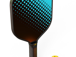 Pickleball set 3D 모델