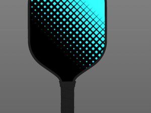 Pickleball set 3D 모델