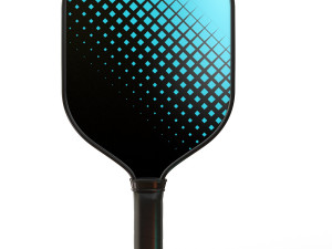 Pickleball set 3D 모델