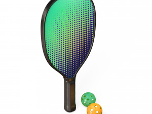 Pickleball set Paddle and Balls 3D मॉडल