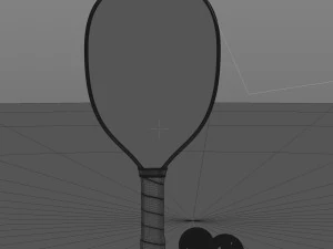 Pickleball set Paddle and Balls 3D Model