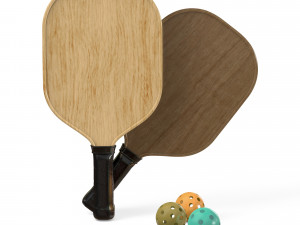 Pickleball set Paddle and Balls 3D Model