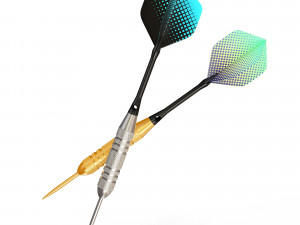 Two Dart Needles 3D Model