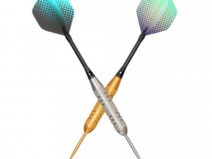 Two Dart Needles 3Dモデル