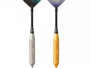 Two Dart Needles 3D Model