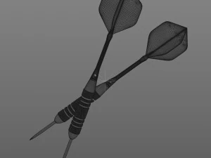 Two Dart Needles 3D Model