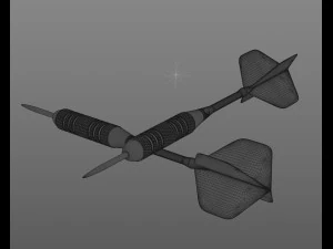 Two Dart Needles 3D Model