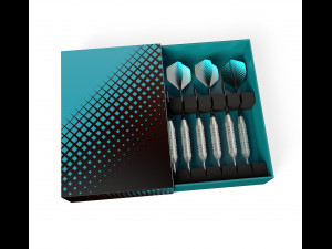 Dart Set 3D Model