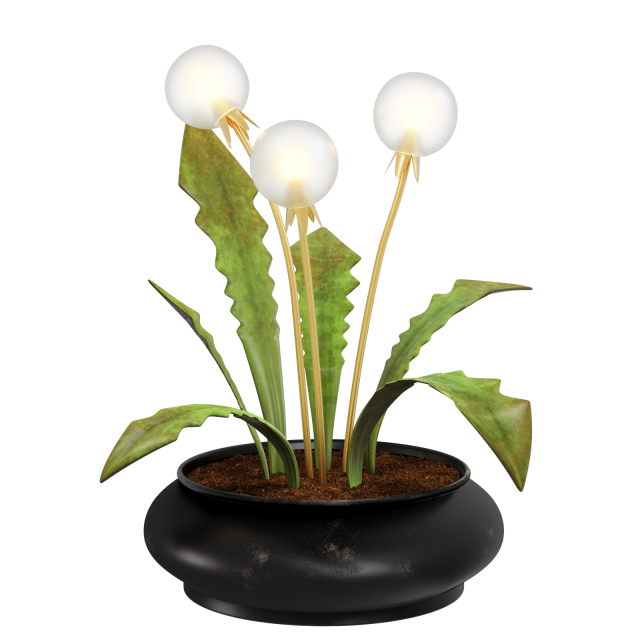 Dandelion Lamp 3D Model .c4d .max .obj .3ds .fbx .stl .blend 