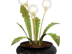 Lampa mniszka lekarskiego Model 3D