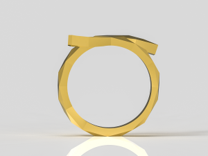 SNAKE RING Modèle 3D