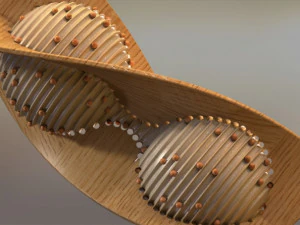 Ornament N1 3D Model