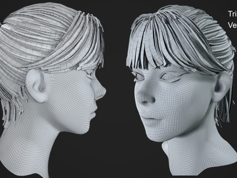 Game ready female hair 3D Model