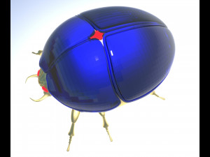 Scarab 3Dモデル