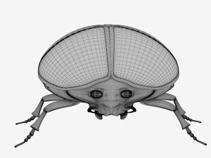 Scarab 3Dモデル