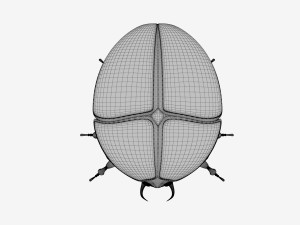 Scarab 3Dモデル