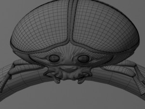Scarab ring Modello 3D