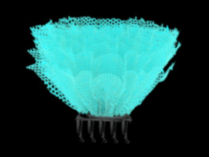 Hair claw clips 3D Model