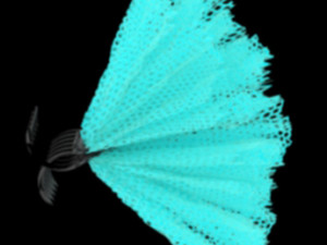 Hair claw clips 3D Model