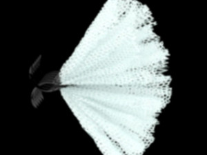 Hair claw clips 3D Model