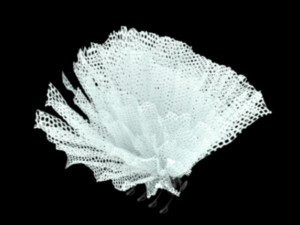 Hair claw clips Modello 3D