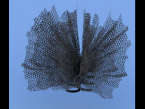 헤어 클로 클립 3D 모델