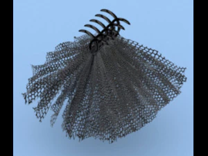 Hair claw clips 3D Model