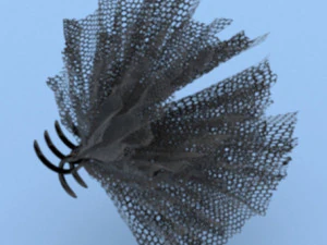 Hair claw clips 3D Model