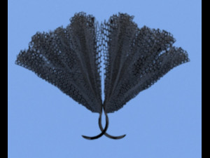 Hair claw clips 3D Модель
