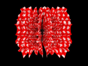 Hair claw clips 3Dモデル