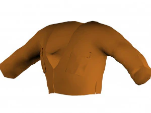 Сорочка 3D Модель
