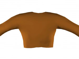 Shirt 3D Model