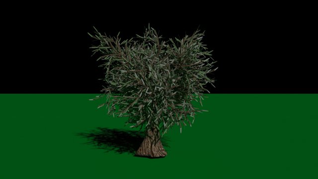 Olive Tree 3Dモデル .c4d .max .obj .3ds .fbx .stl .blend 
