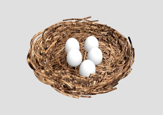 Nest 3D Model .c4d .max .obj .3ds .fbx .stl .blend 
