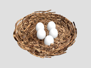 Nest 3D Model